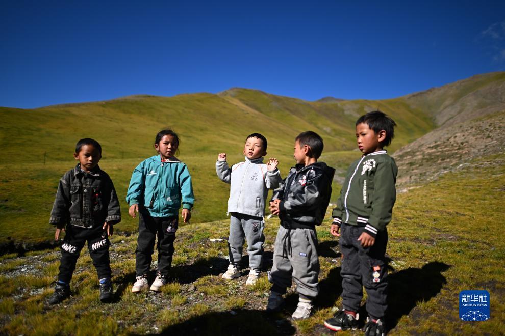 奔驰宝马娱乐游戏